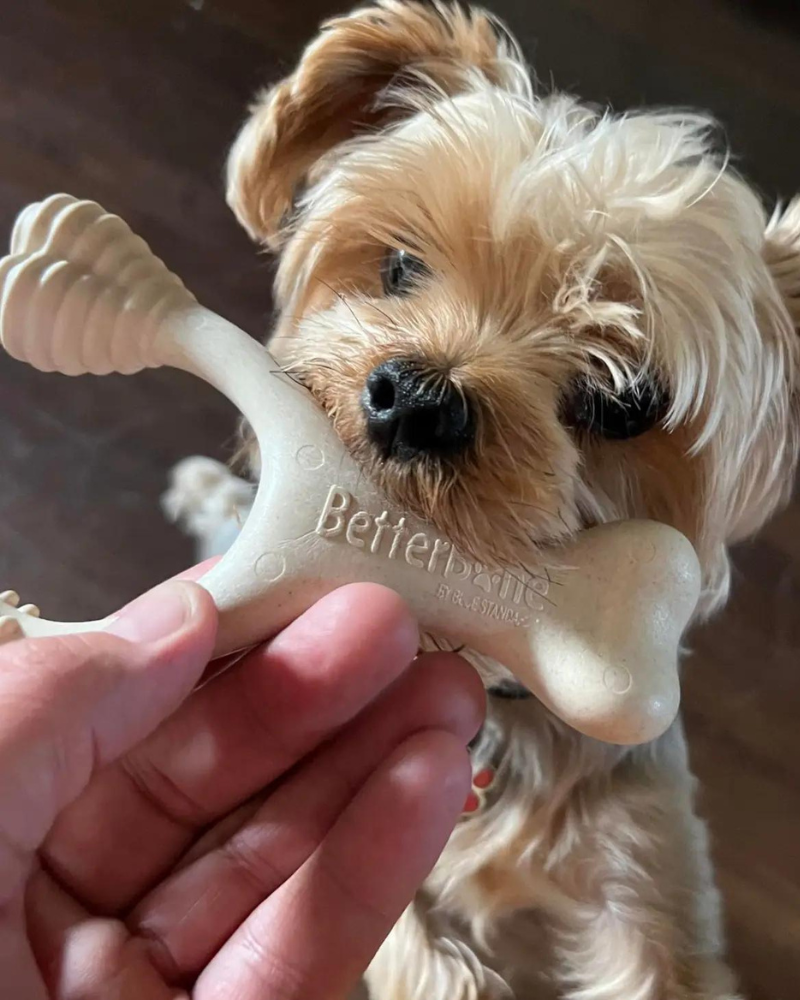 Natural Hypoallergenic Eco-Friendly Dog Chew Toy Play BETTERBONE   