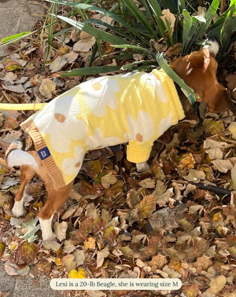 Sunny Side Dog Sweater (FINAL SALE) Wear LITTLE BEAST   