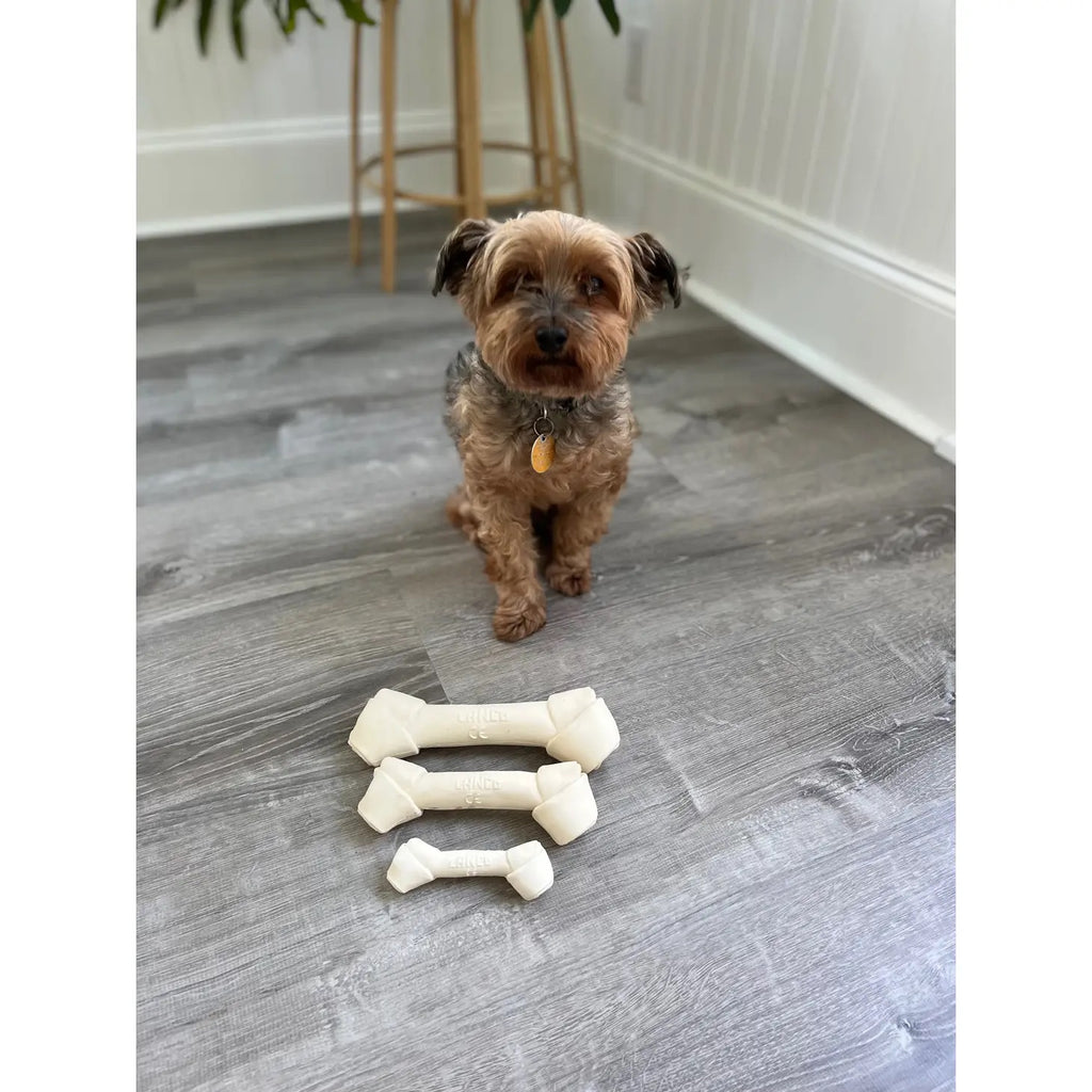 Squeaky Latex Dog Bone Toy  LANCO TOYS   