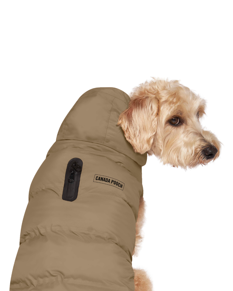 Insulated Waterproof Dog Puffer in Tan Wear CANADA POOCH   