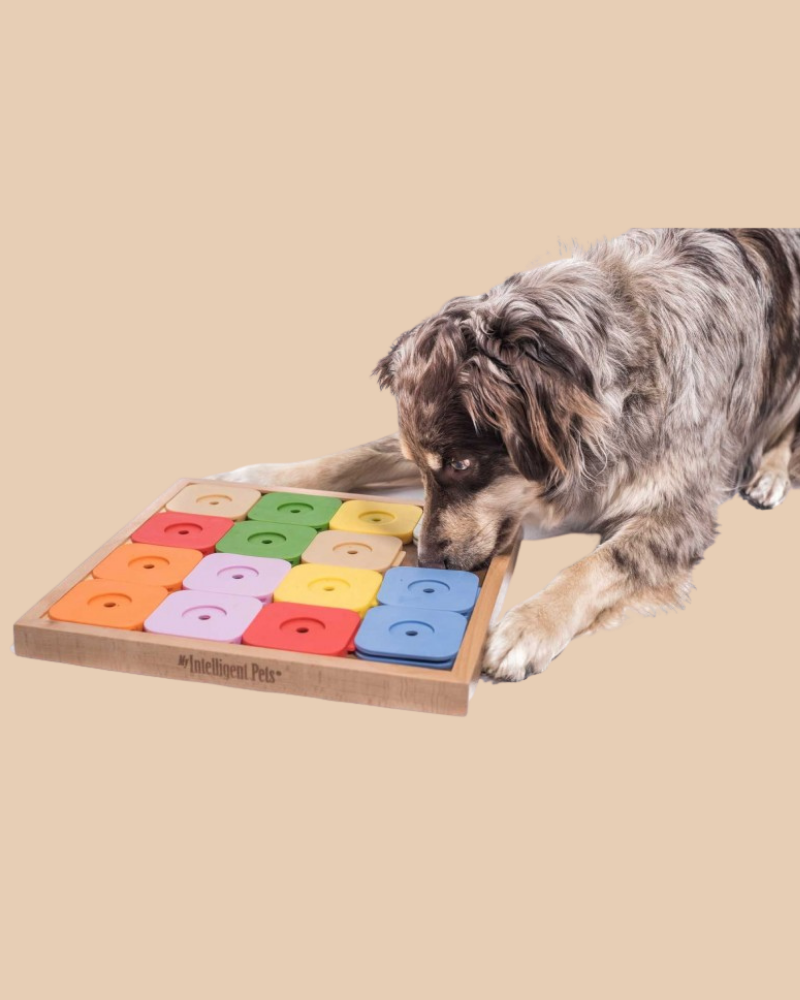 Sudoku Dog Treat Puzzle Game in Rainbow Edition (16 squares) Play MY INTELLIGENT PETS   