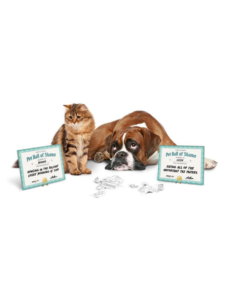 Pet Hall Of Shame Dry Erase Board<br>(FINAL SALE) HOME FRED & FRIENDS   