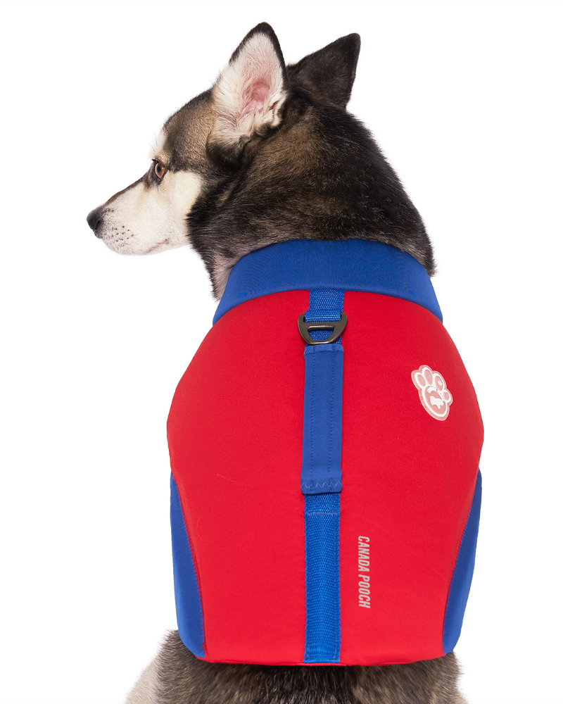 High Tide Dog Life Jacket in Blue & Red (FINAL SALE) Dog Apparel CANADA POOCH   
