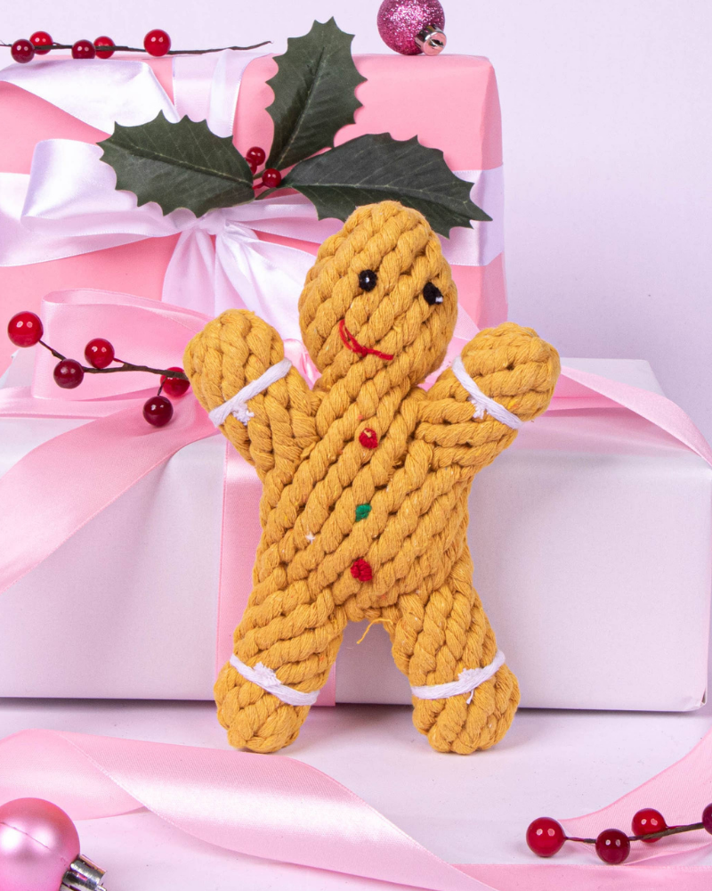 Gingerbread Rope Dog Toy << FINAL SALE >> Toys HAPPY HOUNDS   