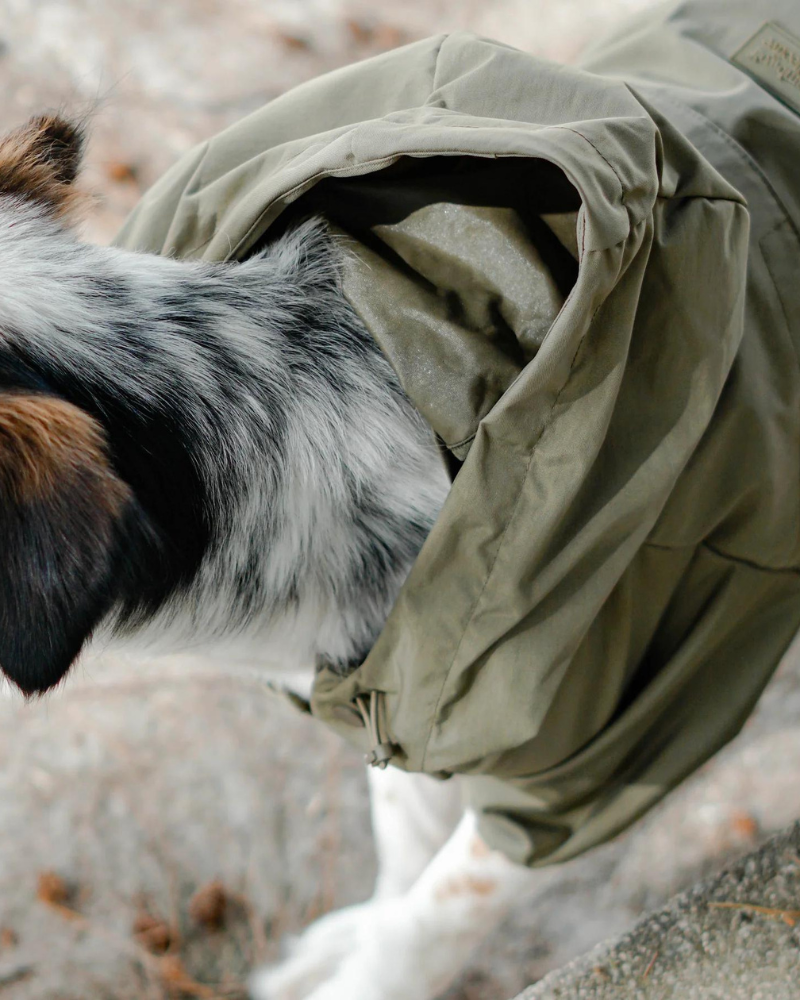 Brooklyn Nylon Water Resistant Dog Jacket (FINAL SALE) Wear LAMBWOLF COLLECTIVE   