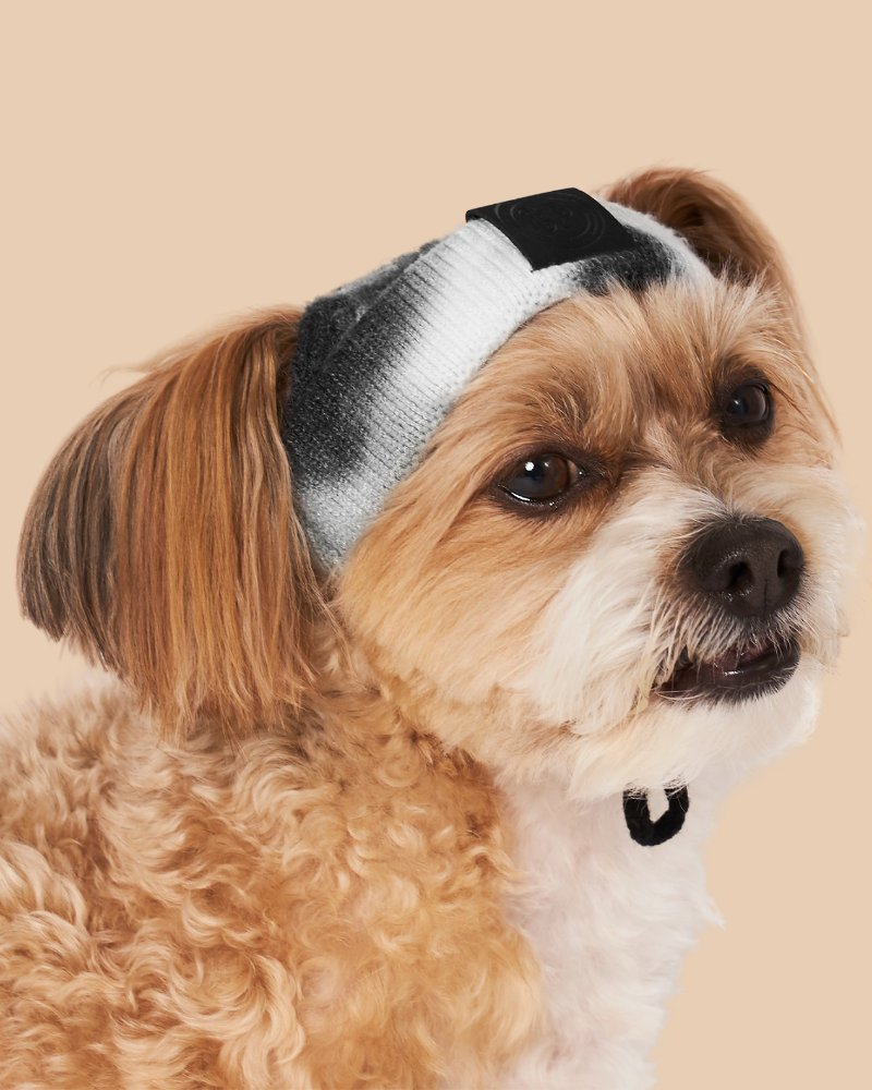 Tie-Dye Dog Beanie in Black & White (FINAL SALE) Dog Apparel CANADA POOCH   