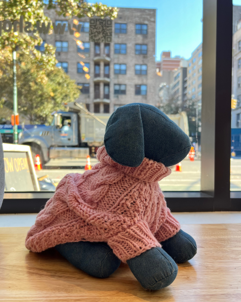 DOG & CO. COLLECTION | Chunky Hand Knit Turtleneck Dog Sweater in