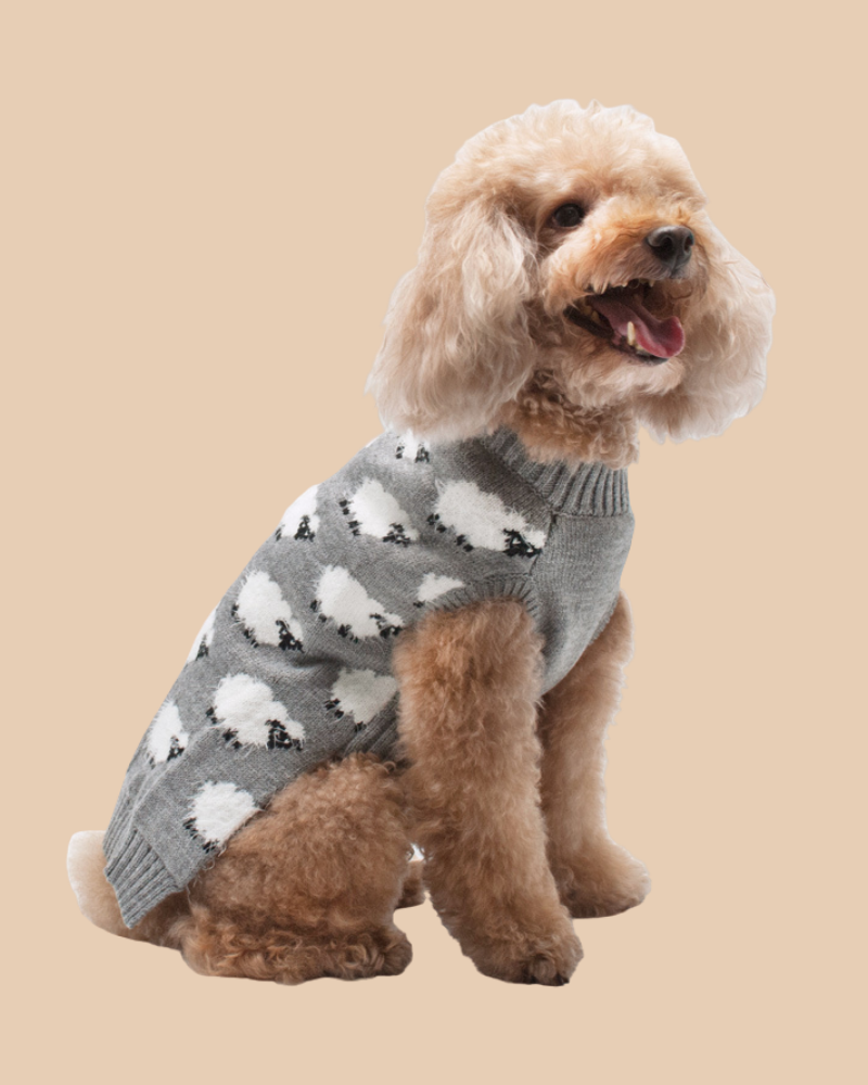 Sweet Sheep Dog Sweater<br>((FINAL SALE)) Wear DOGO   