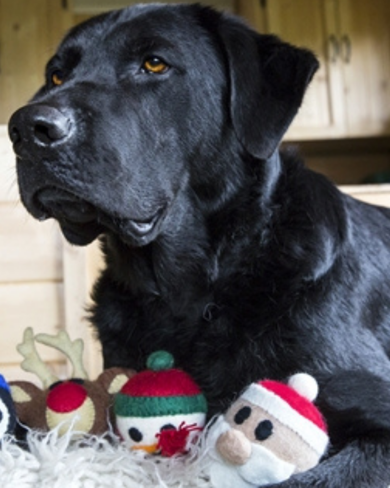 Wooly Santa Dog Toy Play RC PETS   