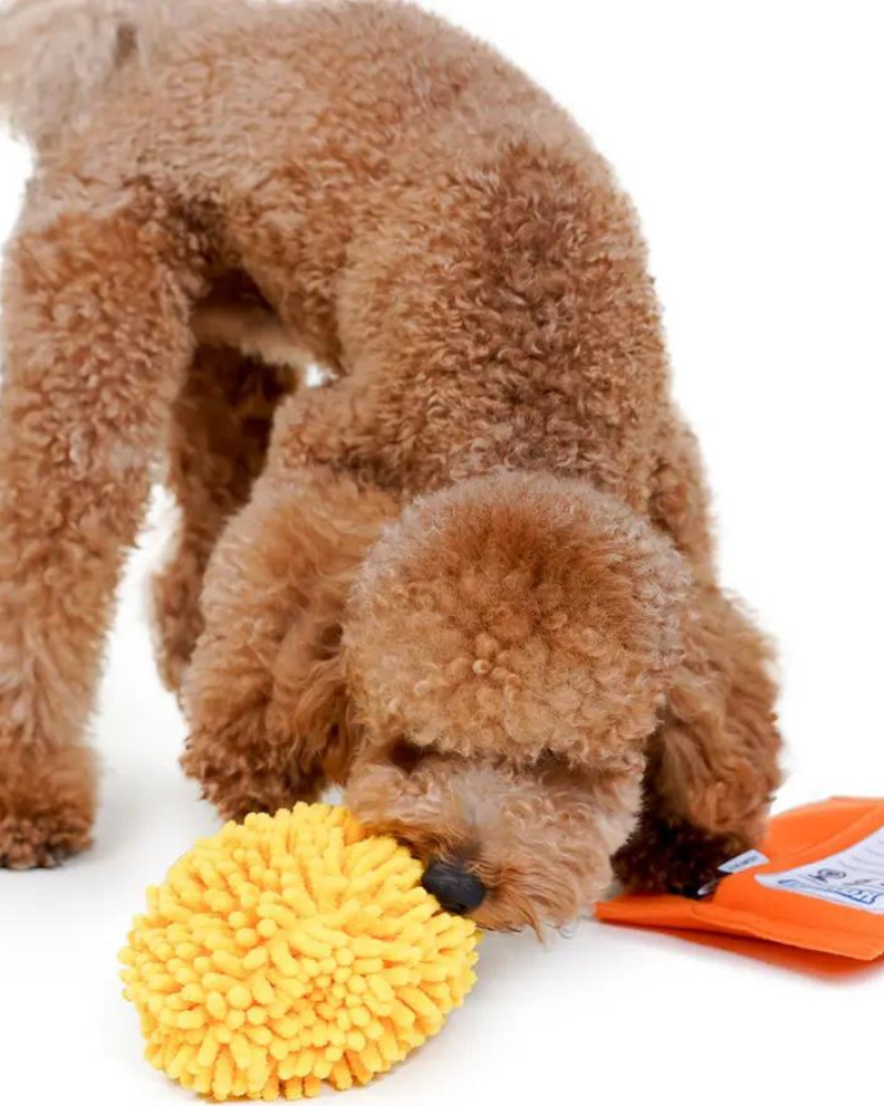 Spicy Ramen Noodle Snuffle Toy Play HOWLPOT   