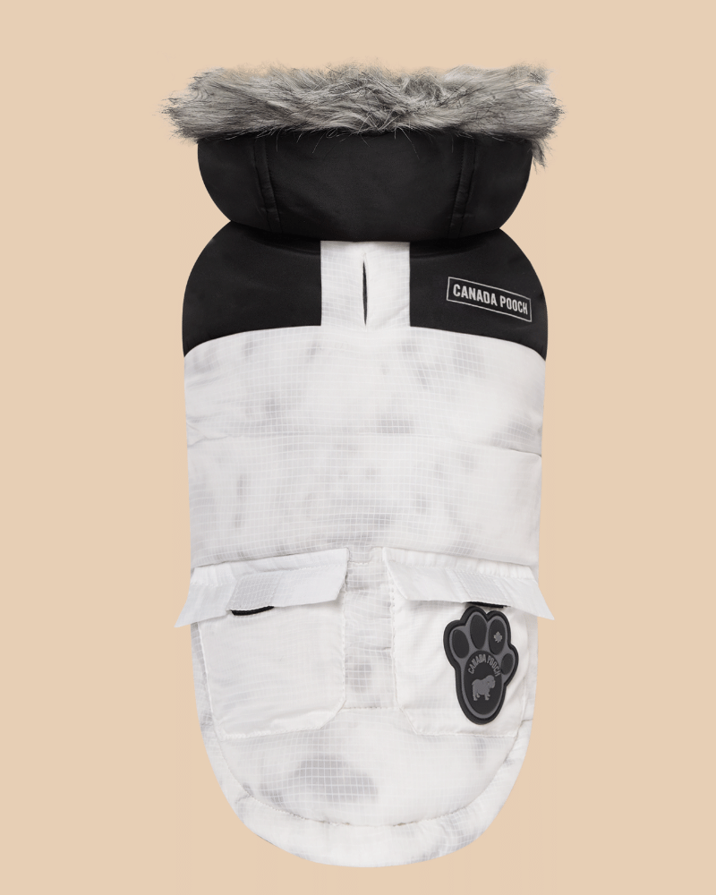 Eco True North Dog Parka in Marble << FINAL SALE >> Wear CANADA POOCH   