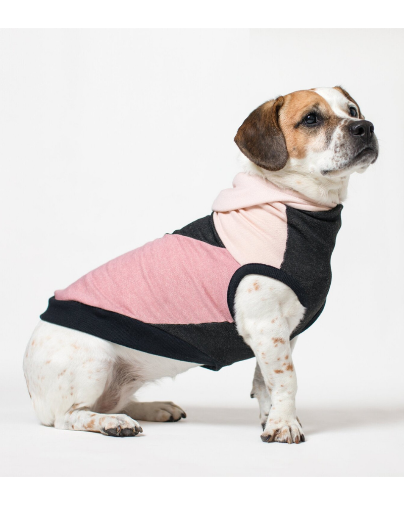 The Boombayah Cotton Hoodie for Long Dogs (Made in the USA) << FINAL SALE >> Wear LONG DOG CLOTHING   