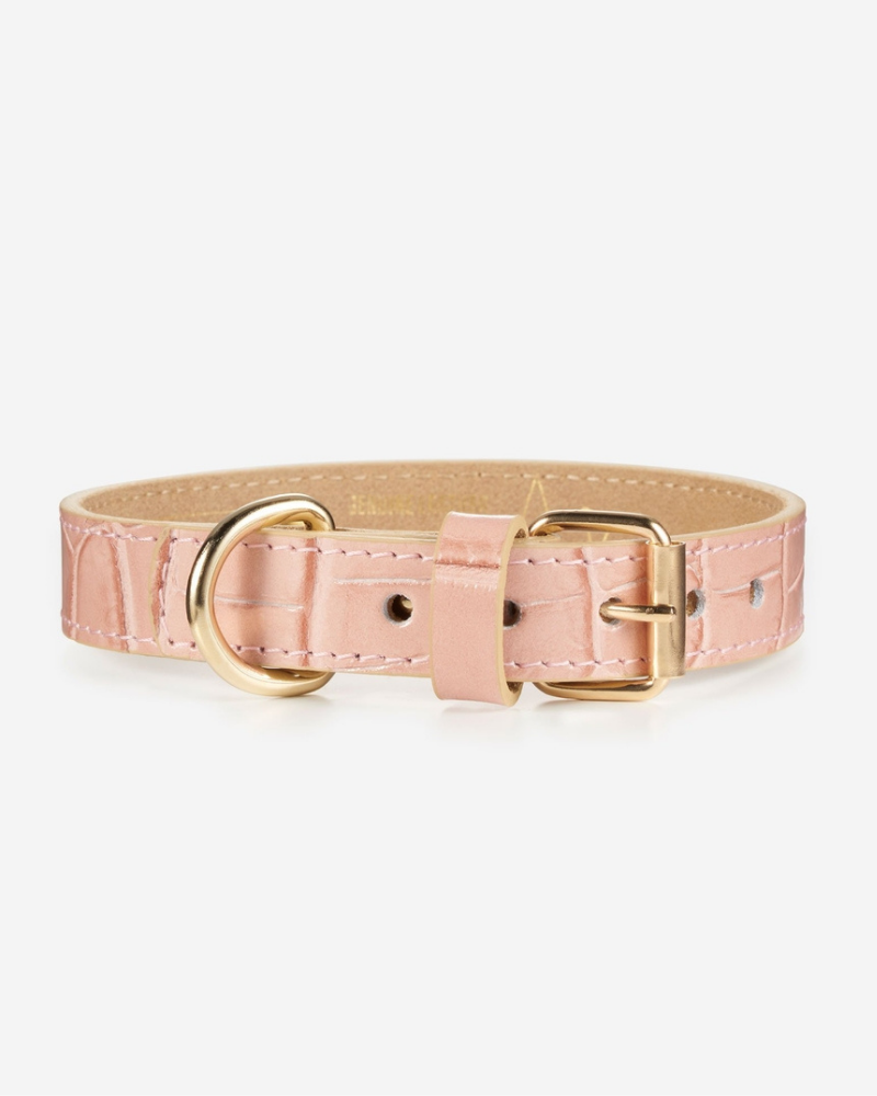 Lia Crocodile Print Leather Dog Collar in Pale Pink (Made in Italy) (FINAL SALE) WALK BRANNI X-Small  