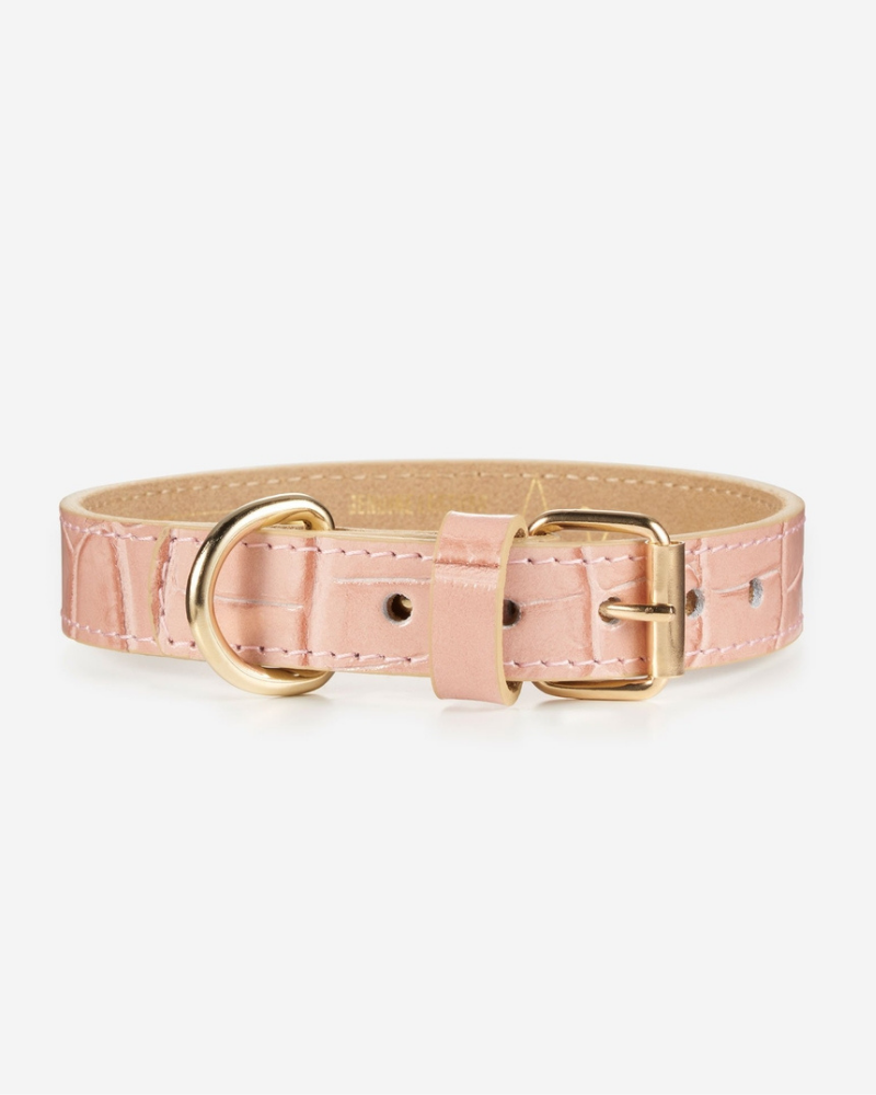 Lia Crocodile Print Leather Dog Collar in Pale Pink (Made in Italy) Dog Collar BRANNI X-Small  