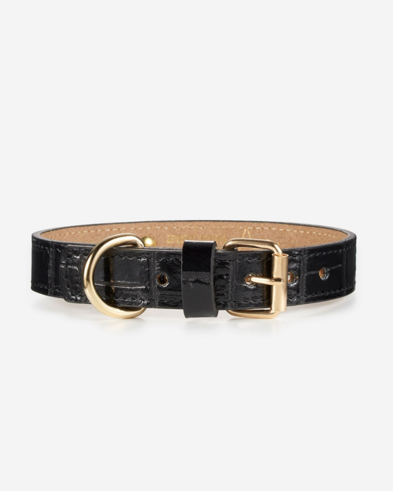 Lia Crocodile Print Leather Dog Collar in Black (Made in Italy) (CLEARANCE) WALK BRANNI   