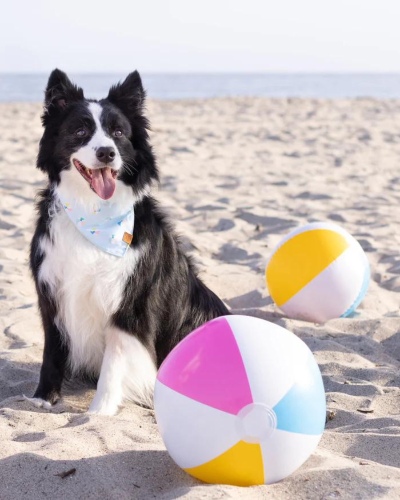 Beach Ball Dog Bandana<br>(Made in the USA) (FINAL SALE) Wear THE FOGGY DOG   