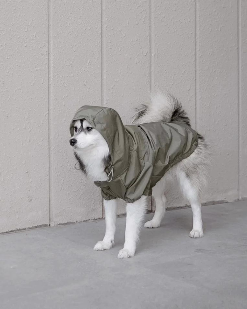 Brooklyn Nylon Water Resistant Dog Jacket (FINAL SALE) Wear LAMBWOLF COLLECTIVE   