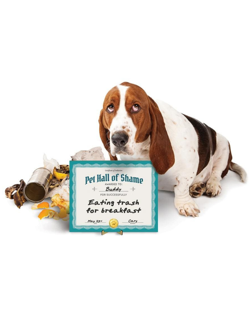 Pet Hall Of Shame Dry Erase Board<br>(FINAL SALE) HOME FRED & FRIENDS   