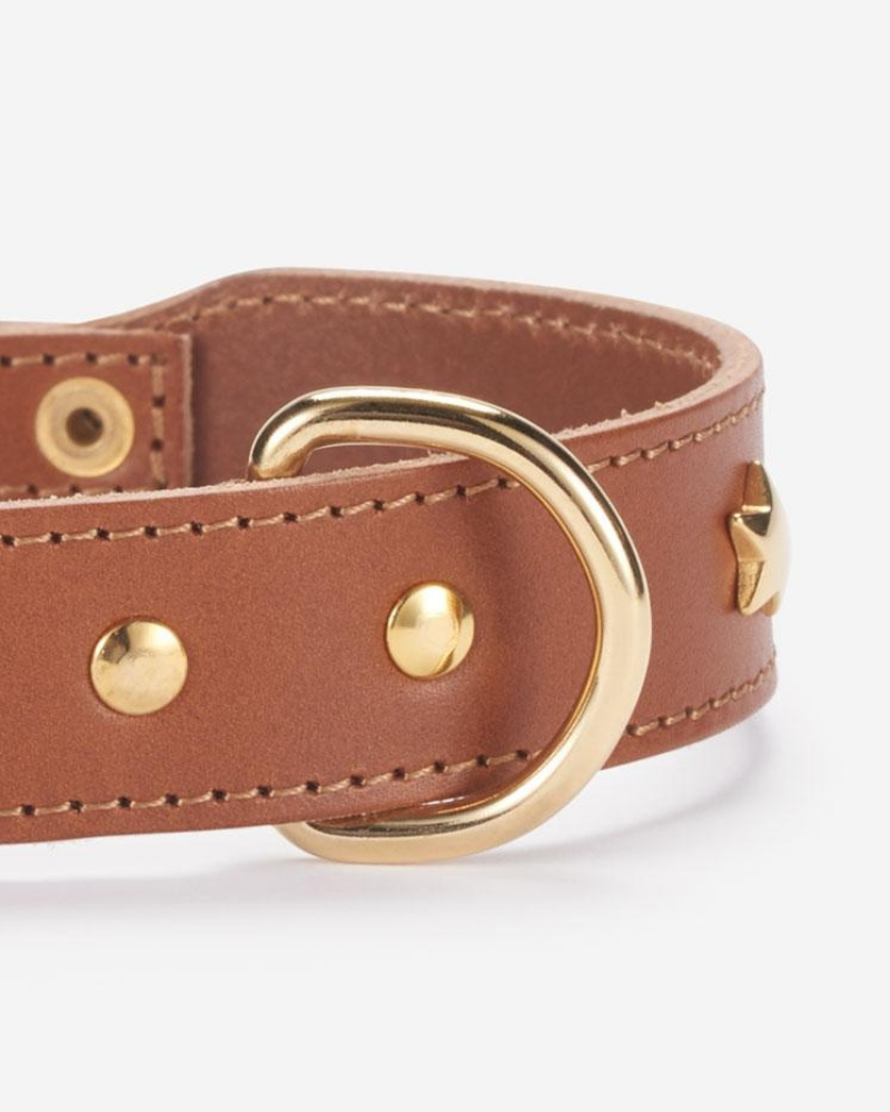 Cognac Leather Dog Collar with Brass Stars (Made in Italy) Dog Collar BRANNI   