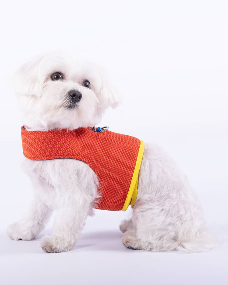 Yuki Mesh Dog Harness in Orange (Made in Spain) (FINAL SALE) WALK GROC GROC   