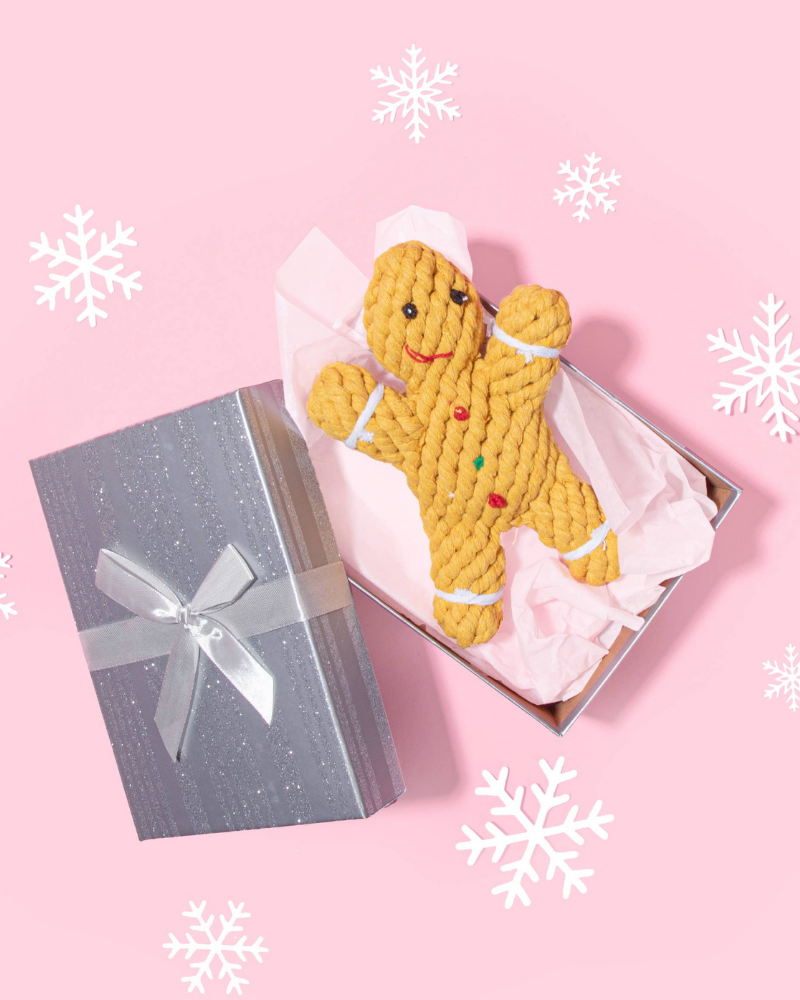 Gingerbread Rope Dog Toy << FINAL SALE >> Toys HAPPY HOUNDS   