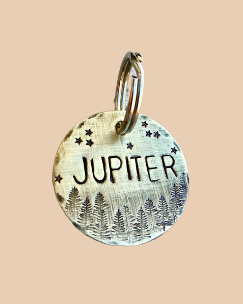 Starry Forest Custom Dog ID Tag (Custom/Drop-Ship) (Made in the USA) Wear THE COPPER POPPY   