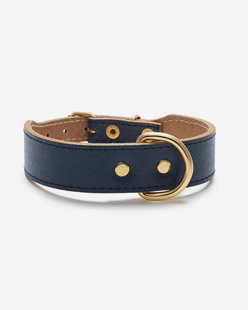 Moni Dog Collar in Navy Leather (Made in Italy) (FINAL SALE) Dog Collars BRANNI X-Small  