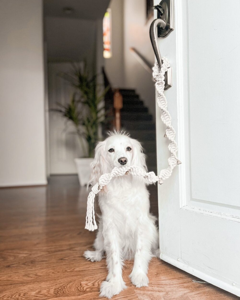 Macrame Dog Potty Bells (Made in the USA) Add-Ons EMBER & IVORY   