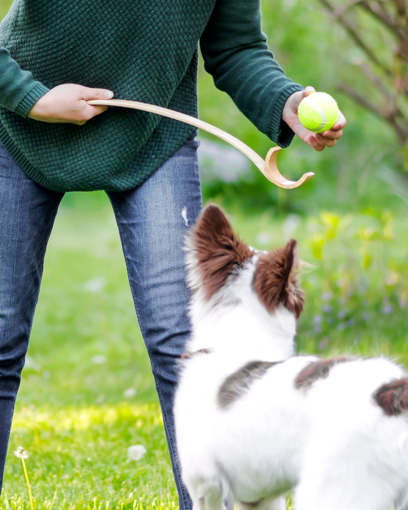 Wooden Ball Launcher for Dogs Play KIKKERLAND   