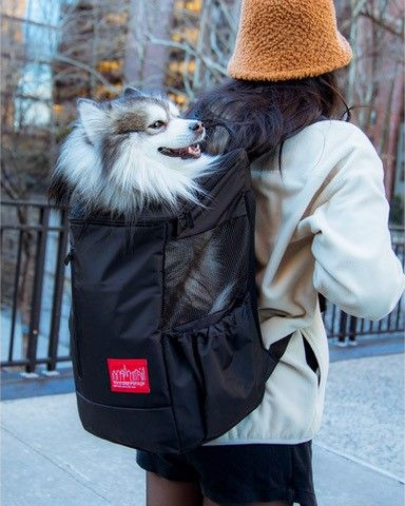 Sirius Traveler Dog Backpack in Black Carry MANHATTAN PORTAGE   