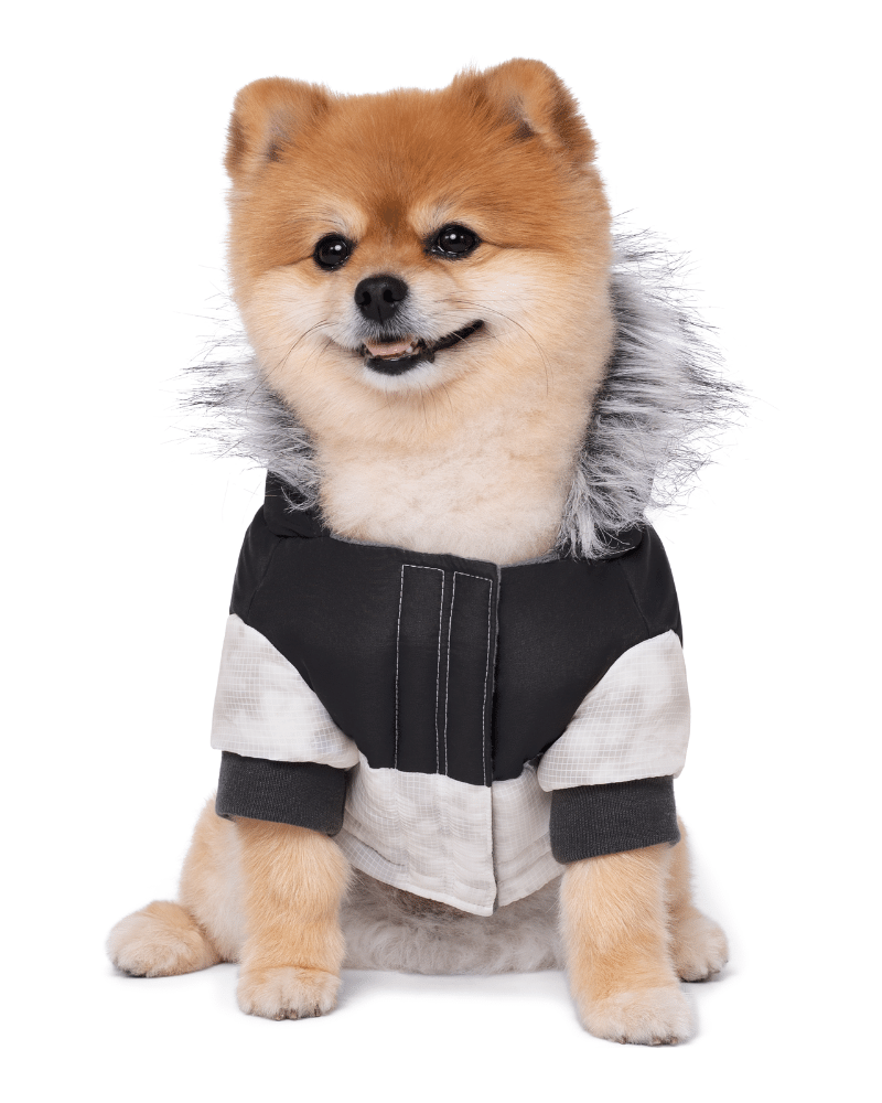 Eco True North Dog Parka in Marble << FINAL SALE >> Wear CANADA POOCH   
