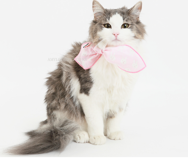 ALP | Bunny Scarf Accessories AMY LOVES PET   