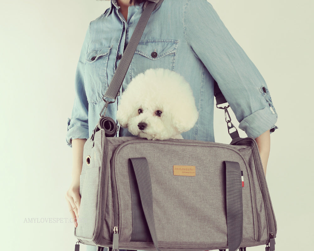 ALP | Expandable Travel Carrier in Grey Carry AMY LOVES PET   