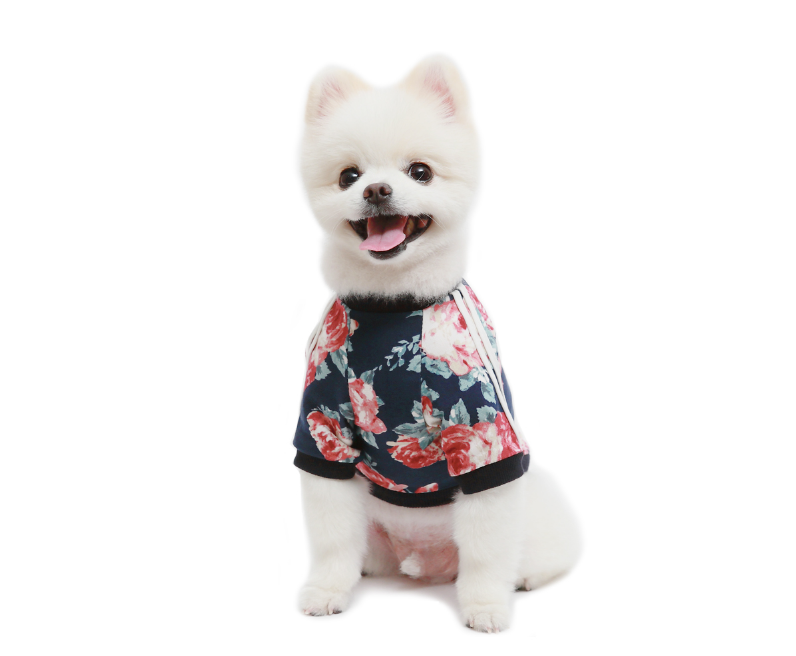 ALP | Floral Jersey T Shirt Apparel AMY LOVES PET   