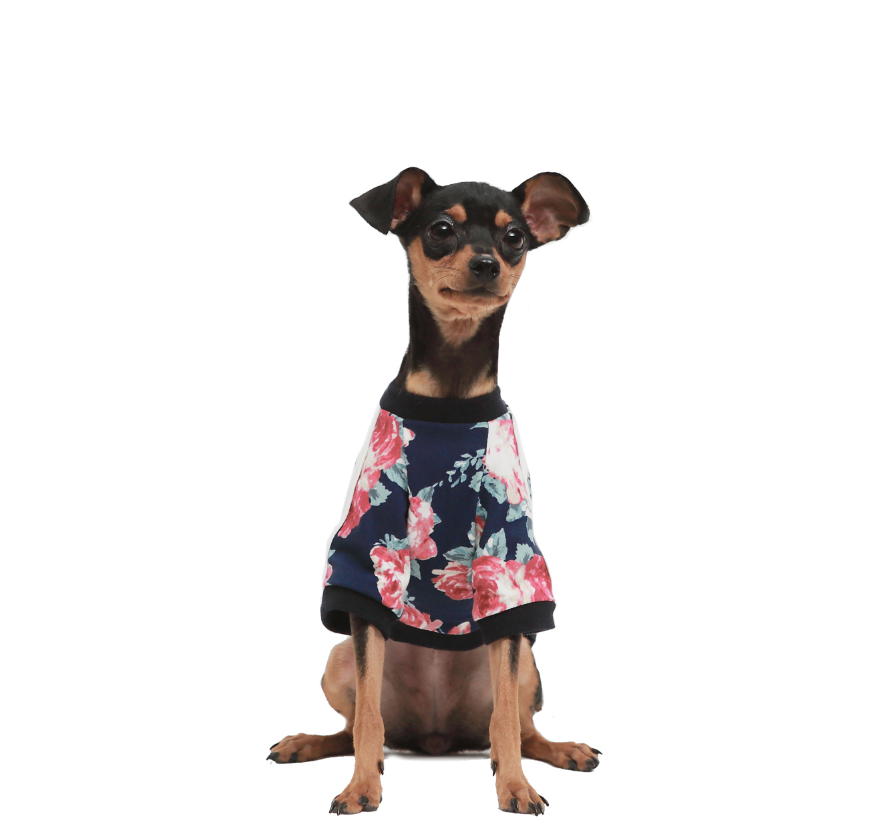 ALP | Floral Jersey T Shirt Apparel AMY LOVES PET   