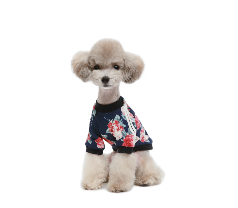 ALP | Floral Jersey T Shirt Apparel AMY LOVES PET   