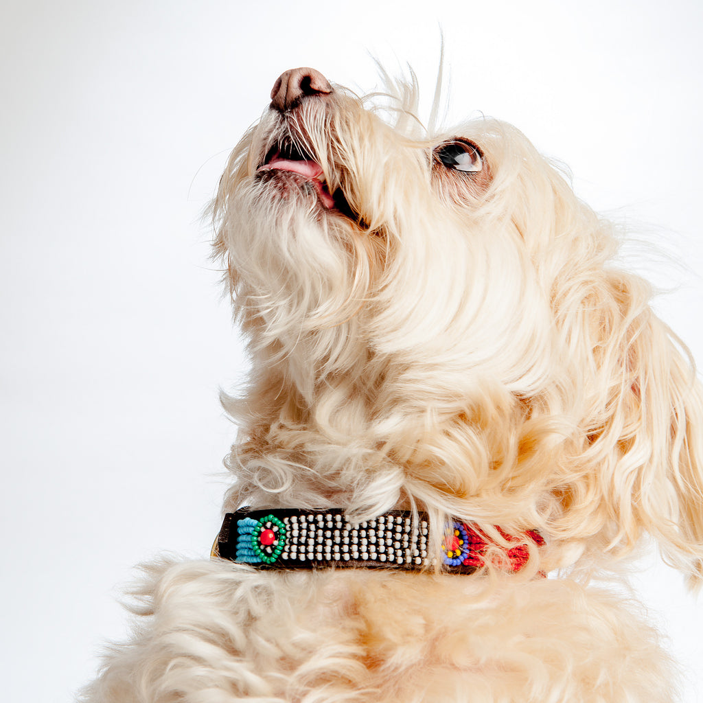 BEADWORKS KENYA | Lines & Circles Beaded Collar Collar BEADWORKS KENYA   