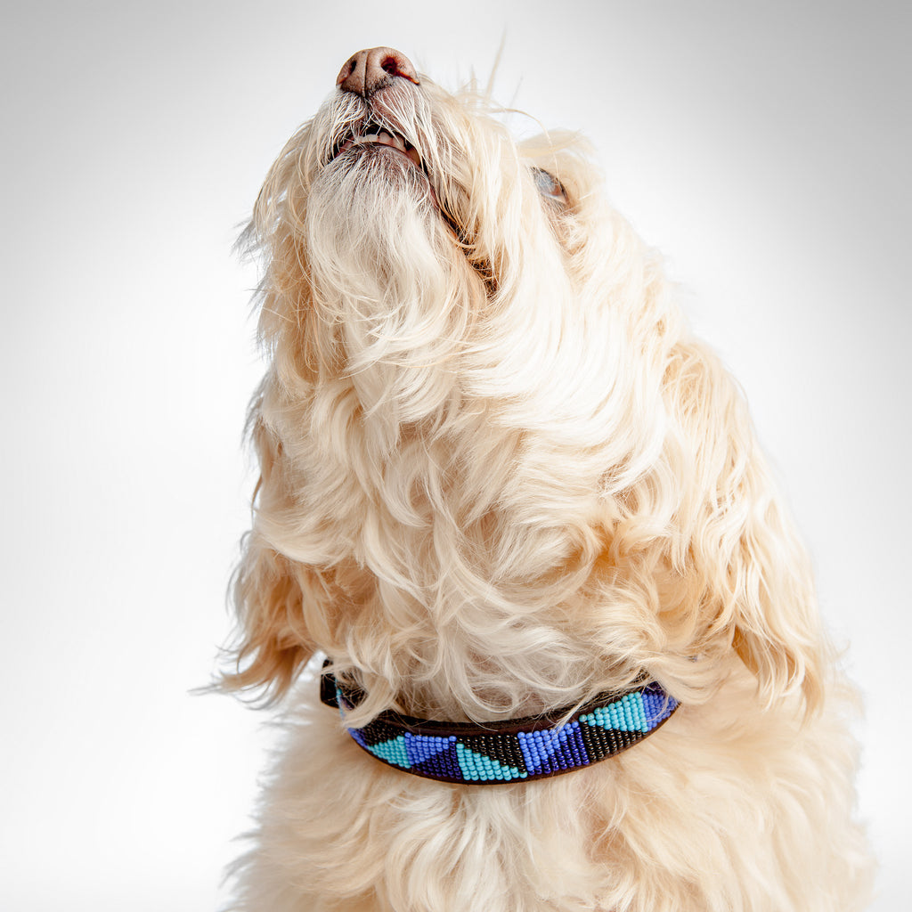BEADWORKS KENYA | Ziggy Blue Beaded Collar Collar BEADWORKS KENYA   
