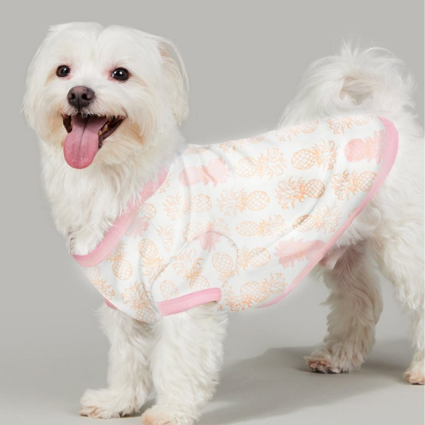 BEDHEAD | Lounge Dog T in Golden Pineapple Apparel BEDHEAD   
