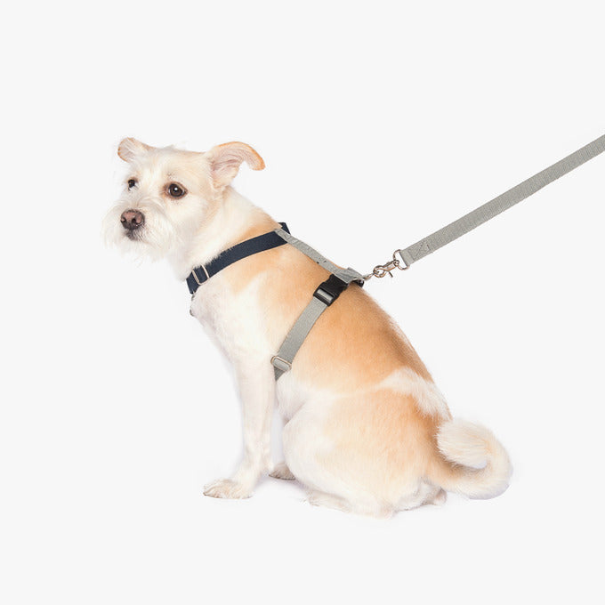 BETTERS | H-Harness in Grey & Navy Harness BETTERS   