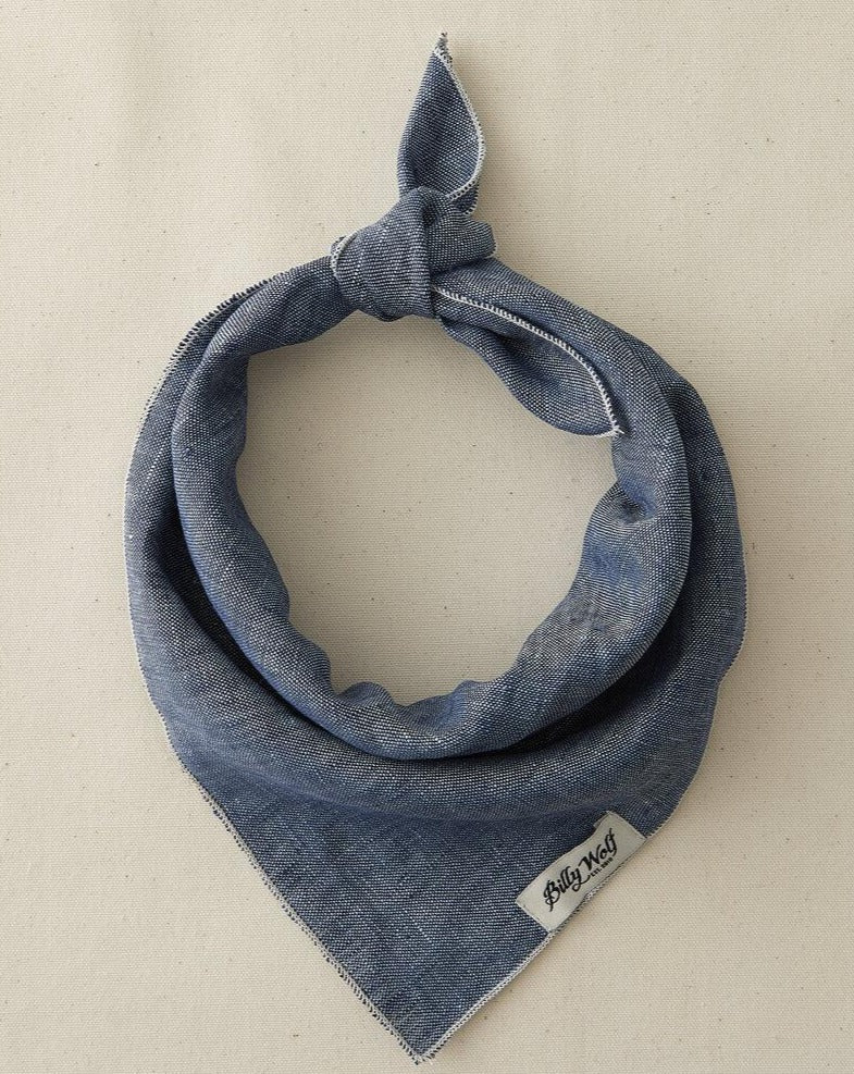 Boyd Linen Dog Bandana Wear BILLY WOLF   