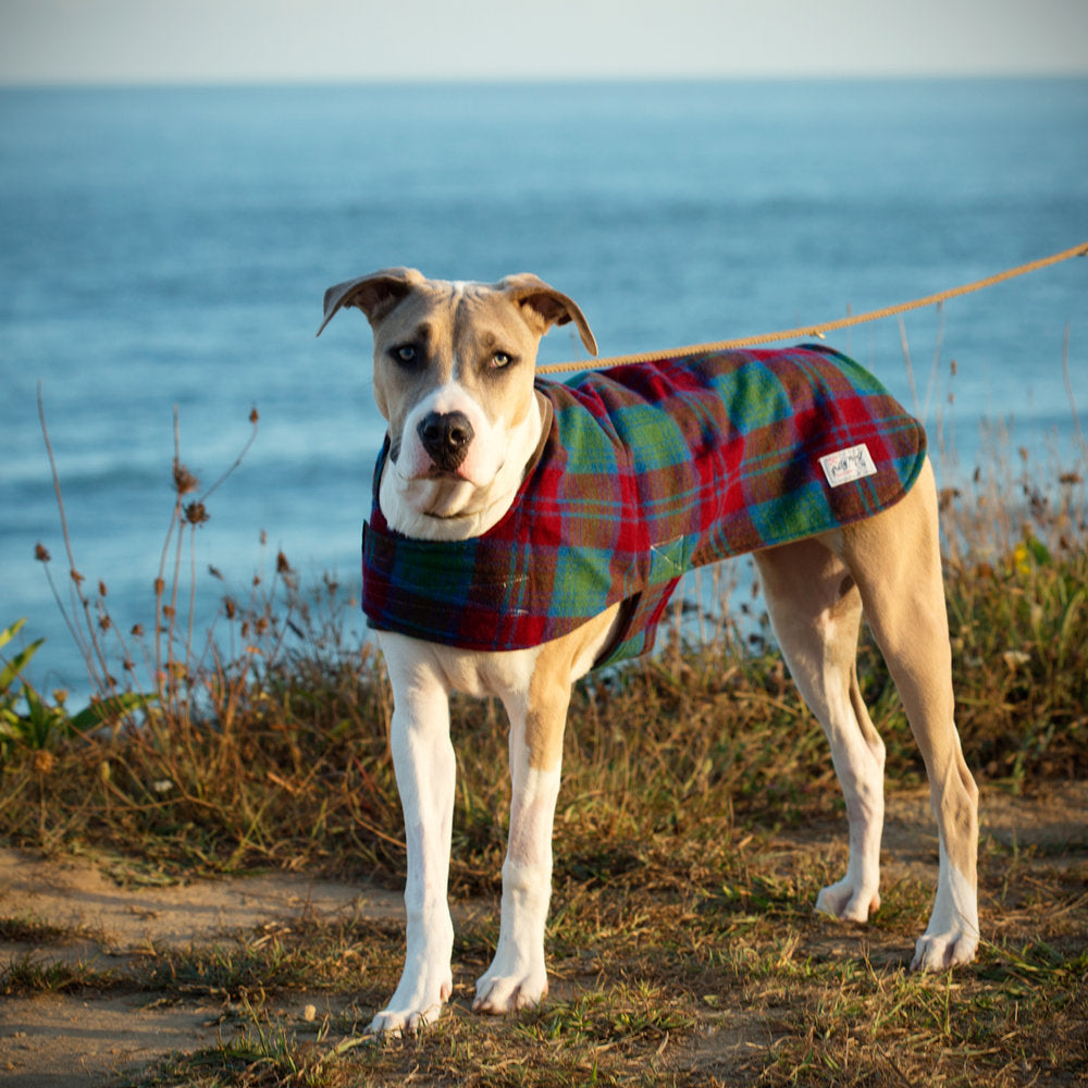 Billy wolf dog coat shop