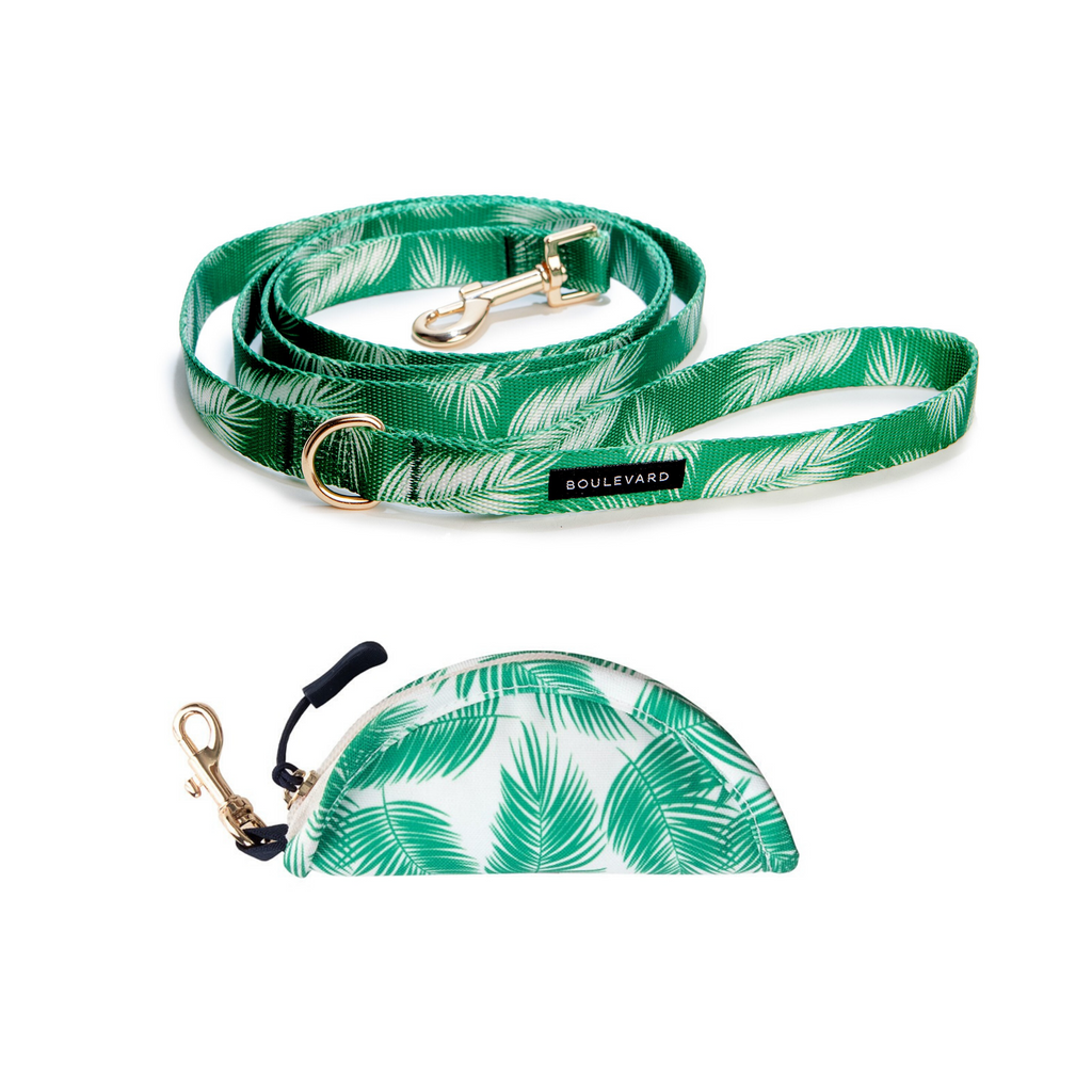 Leash & Water Bowl Set (Drop-Ship) Drop Ship BOULEVARD   