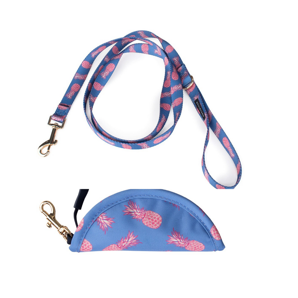 Leash & Water Bowl Set (Drop-Ship) Drop Ship BOULEVARD   