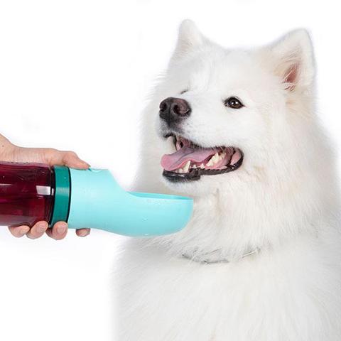 Biodegradable Attachment Bowl for Metal Water Bottles (FINAL SALE) EAT BRB PETS   