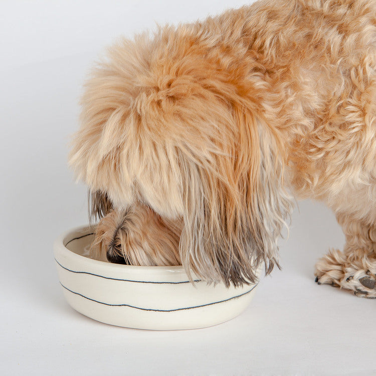 Dots Dog Bowl in Black + White (Dog & Co. Exclusive) EAT BTW CERAMICS   