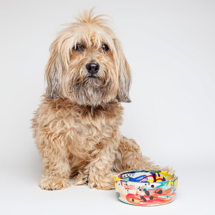 Wacky Dog Bowl (DOG & CO. Exclusive) Eat BTW CERAMICS   