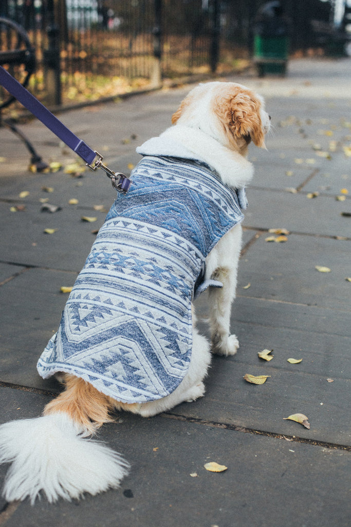 Billy wolf best sale dog coat