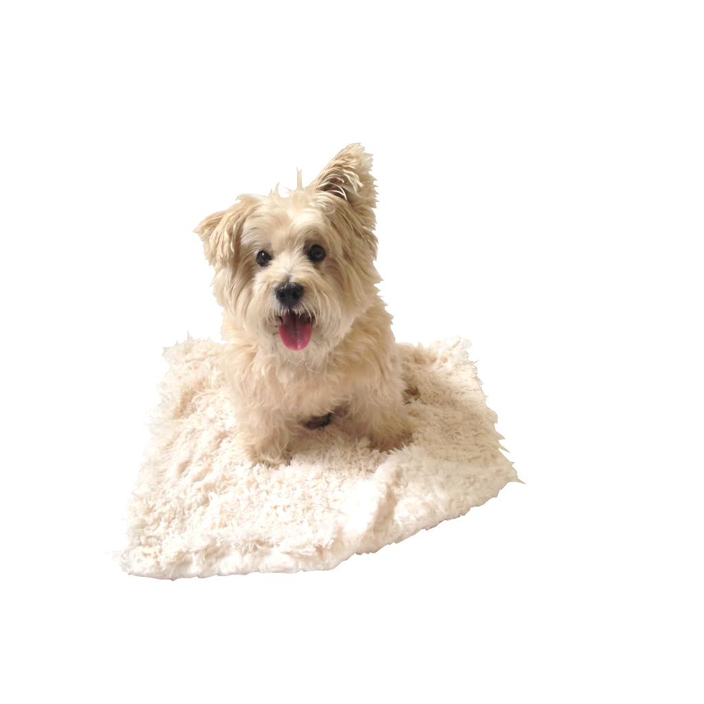 THE DOG SQUAD | Ivory Powder Puff Blanket Sleep THE DOG SQUAD   