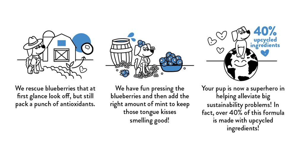 The Tooth Berry Dental Stick Upcycled Dog Treats Eat SHAMELESS PETS   